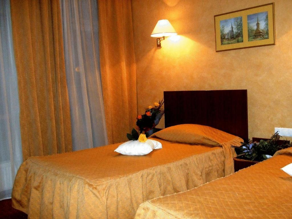 Hotel Ambassador Baia Mare Exterior photo